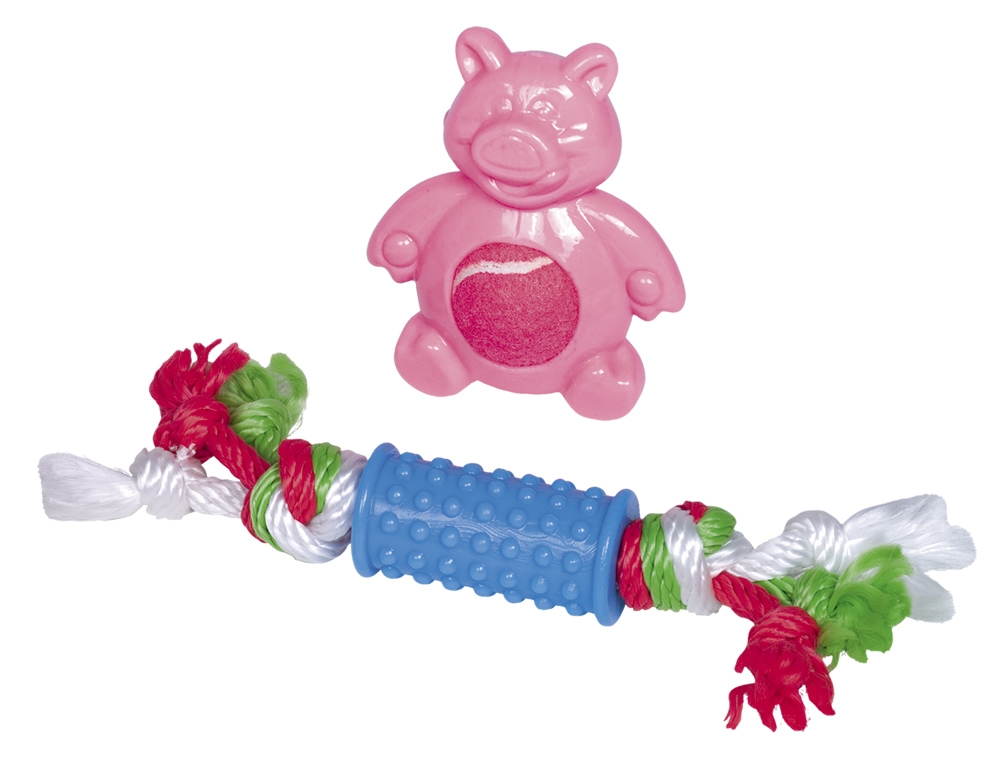 Conjunto de 2 brinquedos
