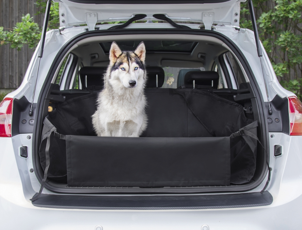 Proteção para mala do carro