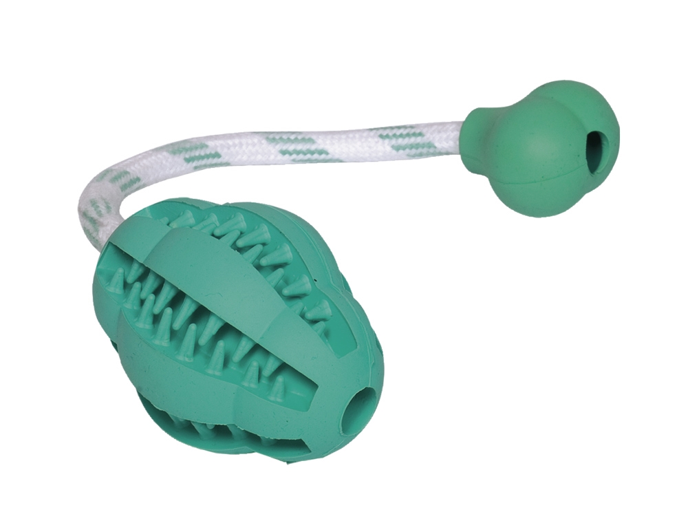 Brinquedo "DENTAL LINE" com corda