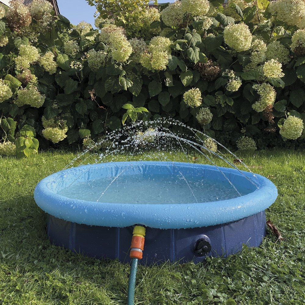 Pisicna 2 in 1 Splash