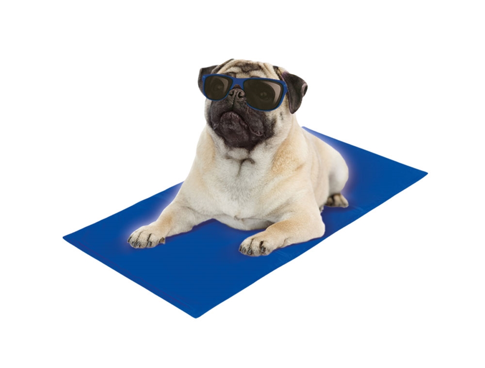 Manta de cão refrescante