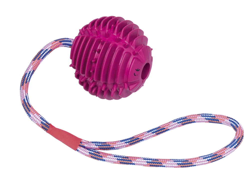 Brinquedo bola de borracha com corda