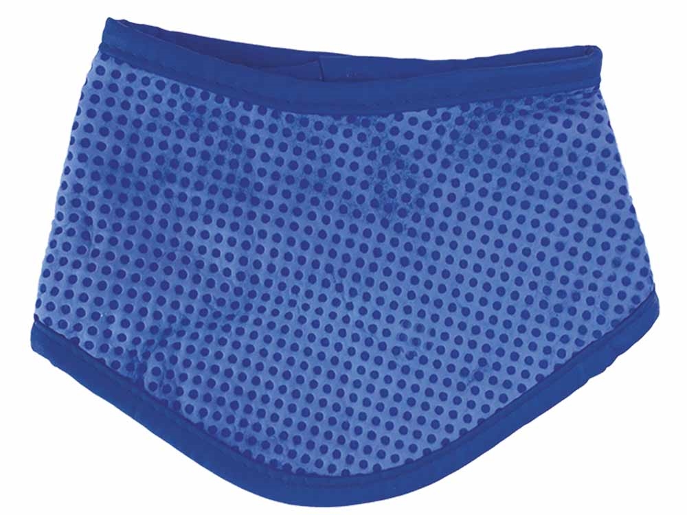 Bandana ICE