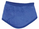 Bandana ICE
