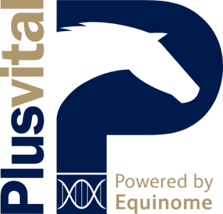 Marca: Plusvital