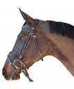 Cabeçada Canter Fancy Stitched