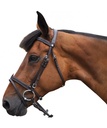 Cabeçada Canter Black strass