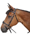 Cabeçada Canter Rosa GOLD