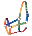 Cabeção Rainbow