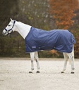 Manda de Paddock Economic