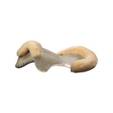 Protector Acavallo gel  front riser com pelo