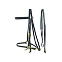 Cabeçada biothane snaffle