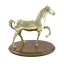 Troféu de cavalo de latão