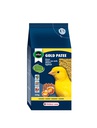 Papa Orlux Gold Amarela