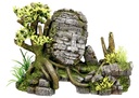 Decoração para Aquários, Lagos e Mesas com plantas "ANGKOR WATT"