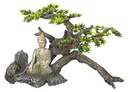 Decor Aqua com plantas "Buddha" 