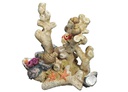 Decor Aqua "Coral"