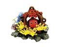 Decor Aqua com plantas "FISH IN JAR"