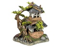 Decor Aqua com plantas "HOUSE WITH BONSAI" 