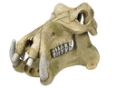 Decor Aqua "HIPPOPOTAMUS SKULL"