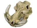 Decor Aqua "WARTHOG SKULL"