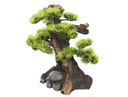 Decor Aqua "BONSAI"