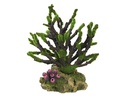Decor Aqua com musgo "Coral" 