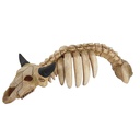 Decor Aqua "ANIMAL SKELETON"