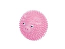 Brinquedo bola porco