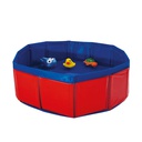Piscina Gatos com Brinquedos