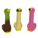 Pato Latex