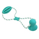 Bola rugby com corda "DENTAL LINE"