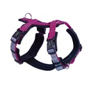 Peitoral "DAILY WALK COMFORT"