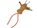 Lagosta com catnip