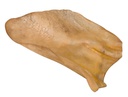 Orelha de Vaca