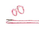 Set para Gatinho "Kitty Cat"