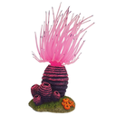 Decor Aqua "Aplysina"