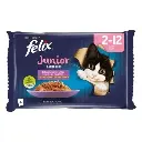 Felix Junior Fantastic 4x85gr