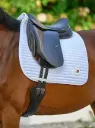 Suadouro Dressage Upstate Tommy