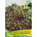Alface Red Salad Bowl
