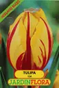 Tulipa Ida Amarelo/Vermelho